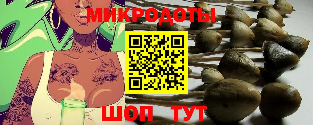 Галлюциногенные грибы прущие грибы  Вход с VPN  Сарапул  где найти   Псилоцибиновые грибы GOLDEN TEACHER 